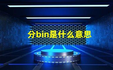 分bin是什么意思 bin目錄是什么意思
